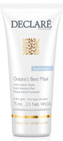 Declare Ocean’s Best Mask
